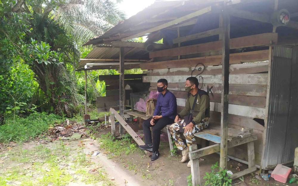 BKSDA Selidiki Kemunculan Beruang di Jalan Pramuka