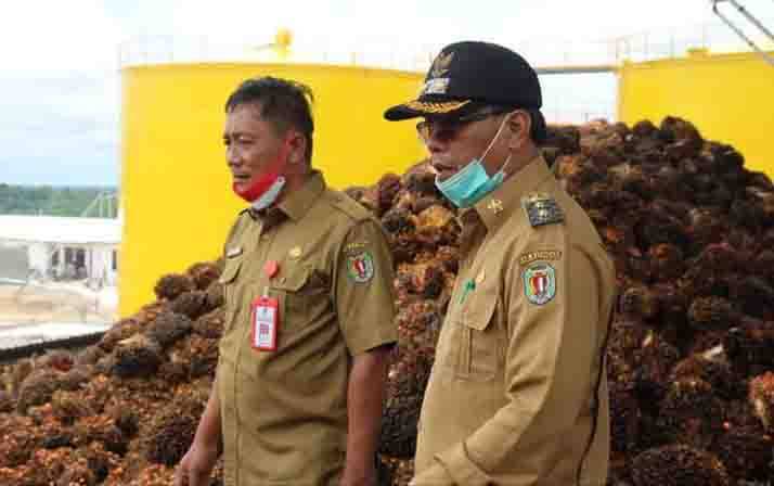 Wakil Bupati Harap PT Panca Mitra Katingan Rekrut Tenaga Kerja Lokal