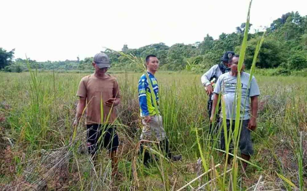 DPRD Kalteng: Potensi Pertanian di Daerah Perlu Digali dengan Maksimal
