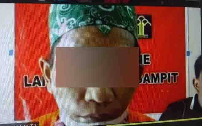 Pencuri Sawit di PT MAP Divonis 7 Bulan Penjara