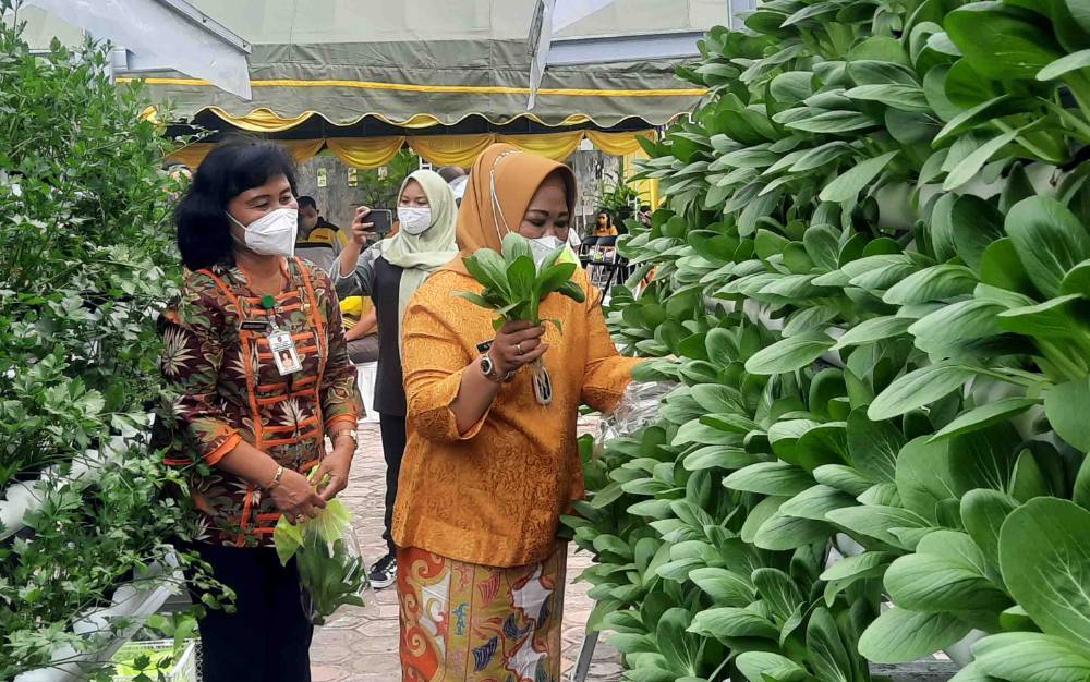 Semarakkan HUT Kobar, DKP Berbagi Bibit dan Panen Sayur Gratis