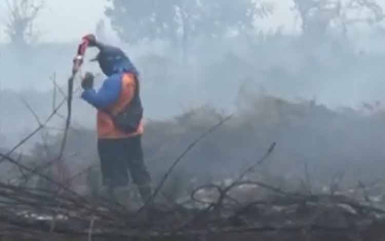 41 Titik Hotspot Terpantau di Kalteng