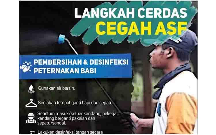 Belum Ada Vaksin Virus Demam Babi Afrika, ini yang Harus Dilakukan Peternak