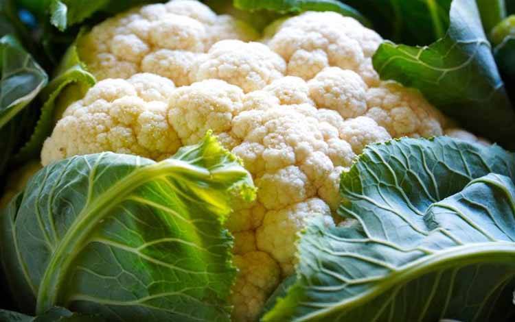 Manfaat Kembang Kol untuk Penyandang Diabetes