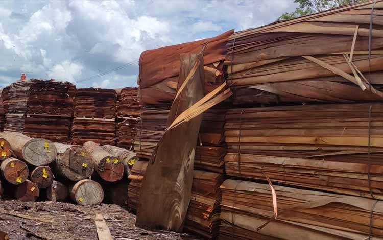 Ini Peran Disdagperin Kalteng dalam Program Hilirisasi Industri