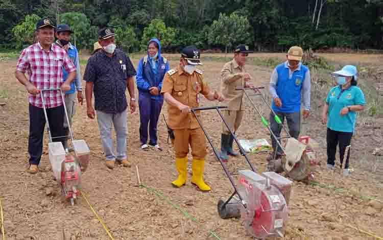 Wakil Bupati Barito Timur Hadiri Tanam Jagung di Desa Malintut