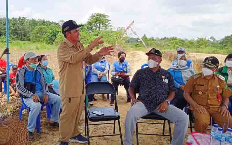 Tahun 2022 Barito Timur Kembangkan Jagung Pakan Seluas 800 Hektare