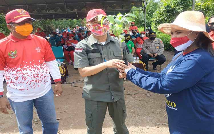 Ratusan Bibit Pohon Bungur Ditanam di Sepanjang Jalan Menuju Pantai Siamuk