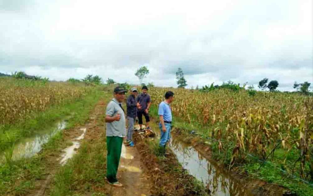 Minat Masyarakat Untuk Bertani di Barito Utara Meningkat