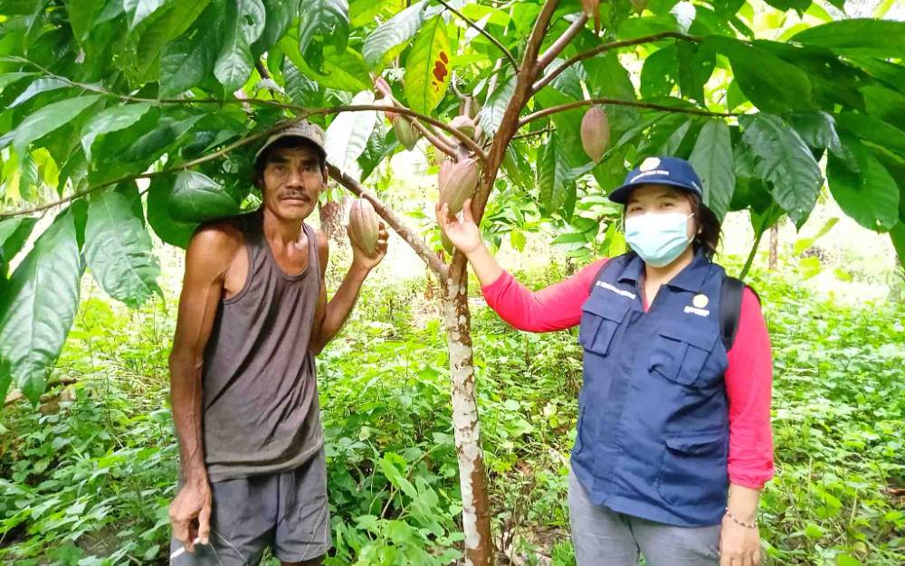 Senang Kakaonya Mulai Berbuah, Petani di Barito Timur ini Minta Pendampingan Berkelanjutan dari Pemerintah