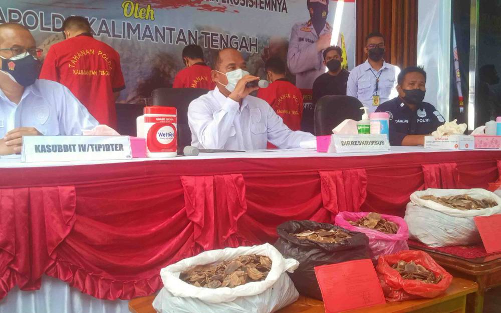 Polisi Sita 22,64 Kg Sisik Trenggiling Senilai Rp 168 Juta