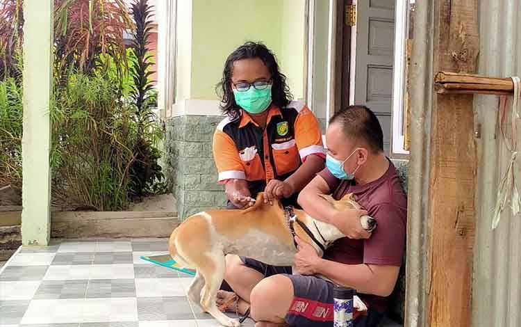 Kasus Rabies di Palangka Raya Masih Nihil