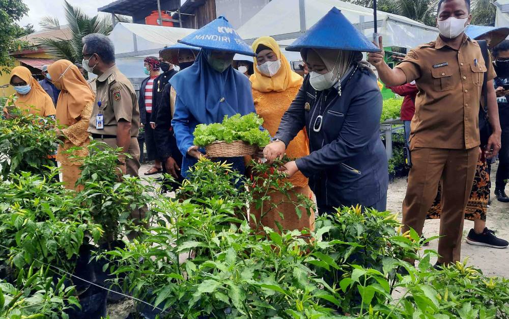 Bupati Kobar Hadiri Panen Raya Hasil Budidaya Kelompok Wanita Tani Mandiri Bersatu