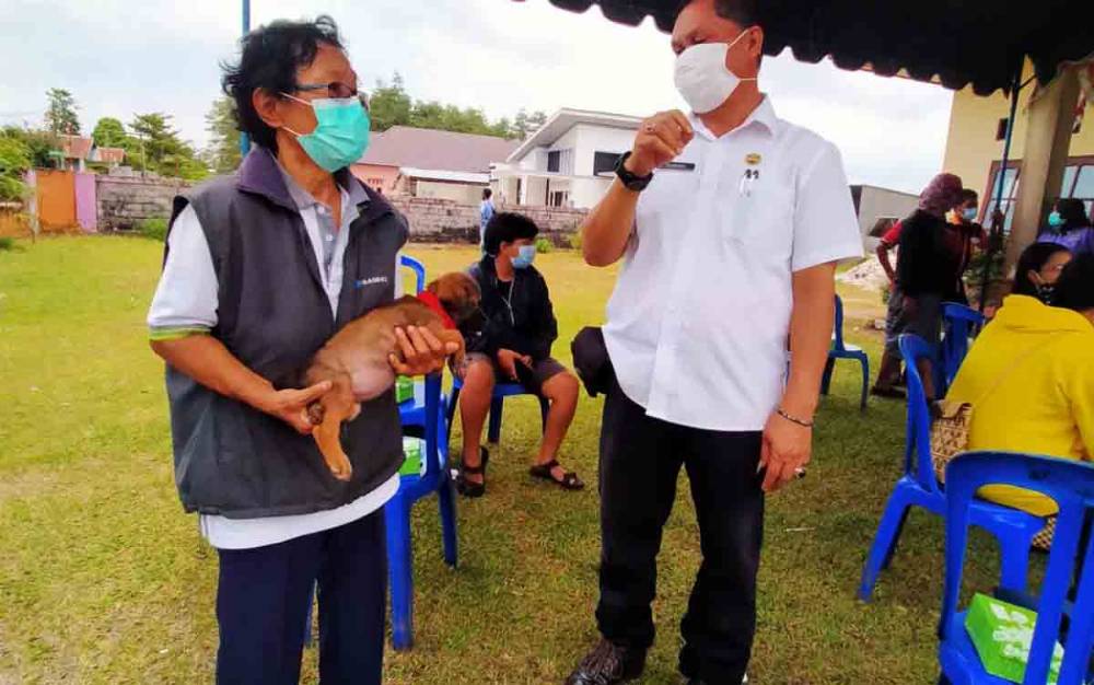 Lalu Lintas Hewan di Palangka Raya Belum Terpantau