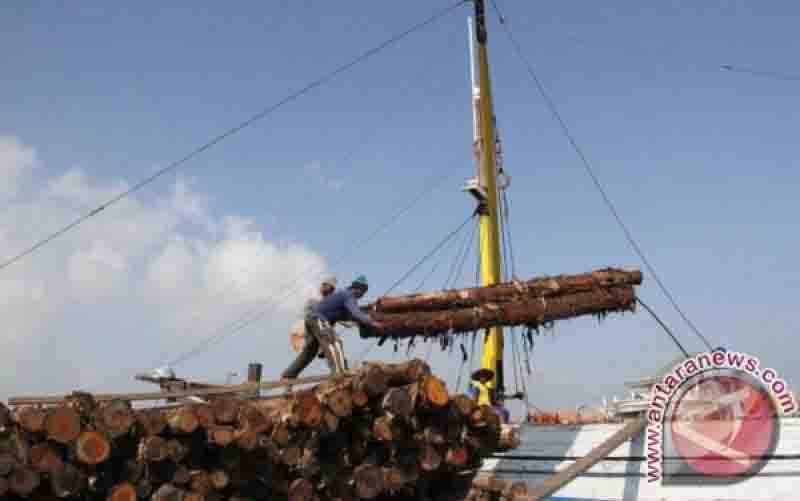 Produk Kayu RI ke Uni Eropa di Bawah AS dan China Meski Ada Skema FLEGT