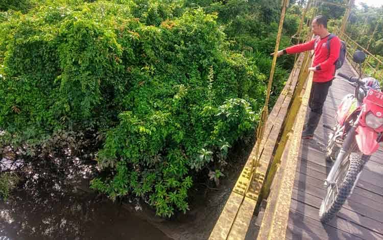 Buaya Muncul Lagi di Muara Sungai Sampit