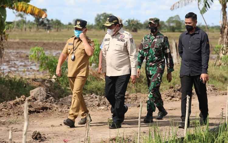 Hortikultura di Kawasan Food Estate Tingkatkan Ekonomi Masyarakat