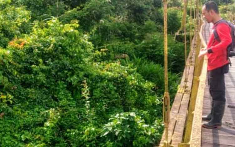 BKSDA Sebut Ada Dua Kali Dugaan Serangan Buaya di Muara Sungai Sampit