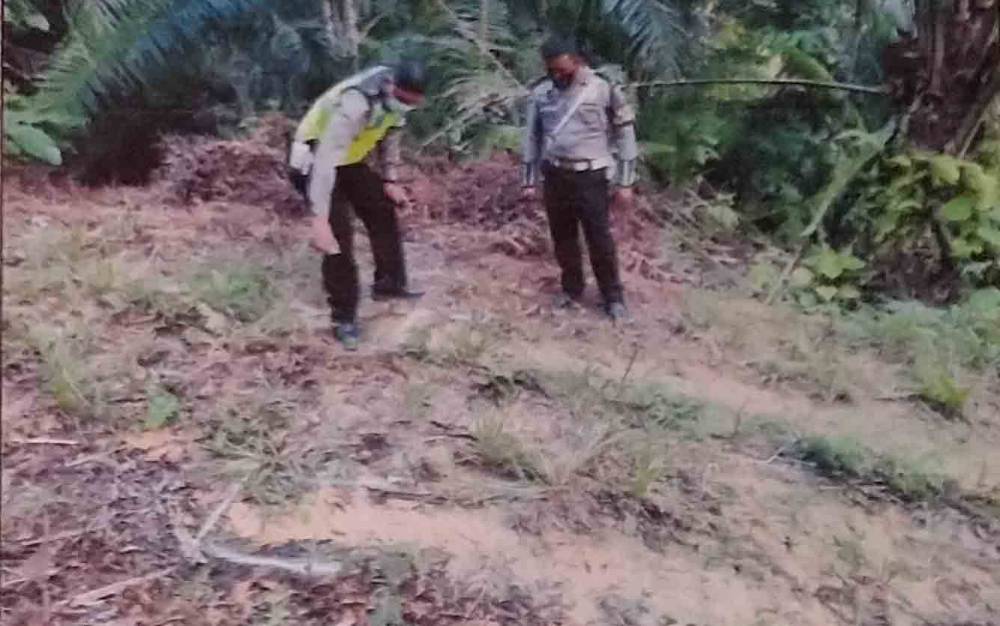 Karyawan Sawit Ini Meninggal Setelah Mobil yang Ditumpanginya Masuk Jurang