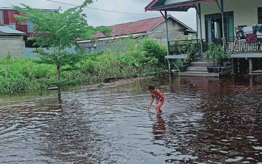 BPBD Palangka Raya Ajukan Status Siaga Banjir