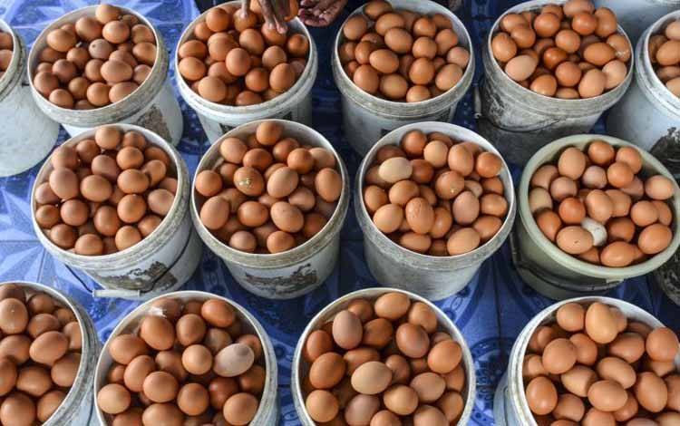 Kemenperin Dorong Dibangunnya Industri Pengolahan Telur Atasi Surplus