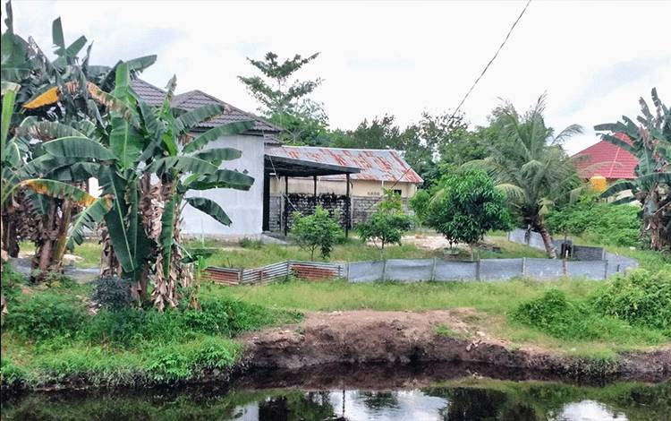 Lagi, Predator Ganas Muncul di Sungai Mentawa di Tengah Kota Sampit
