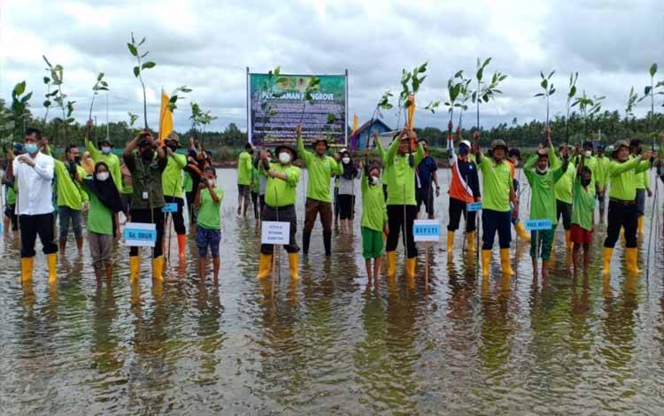 Sejak 2018, Penanaman Mangrove di Lunci dan Jelai Capai 719 Hektare