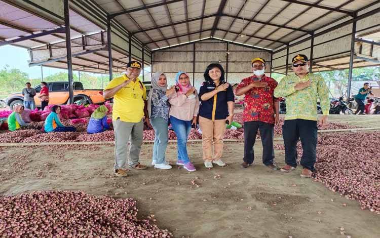 Pemkab Kobar ke Brebes Belajar Budidaya Bawang Merah