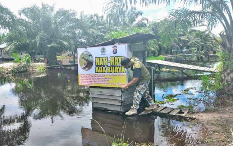 BKSDA Pasang Jerat Buaya di Sungai Handil Sohor
