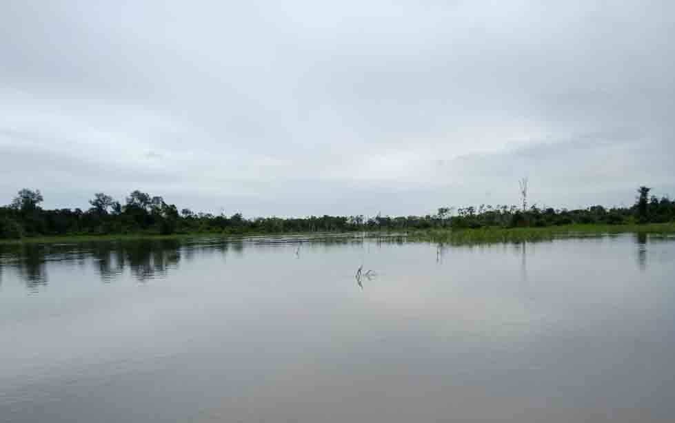 Hindari Gagal Panen, Petani  Diminta Tunda Masa Tanam