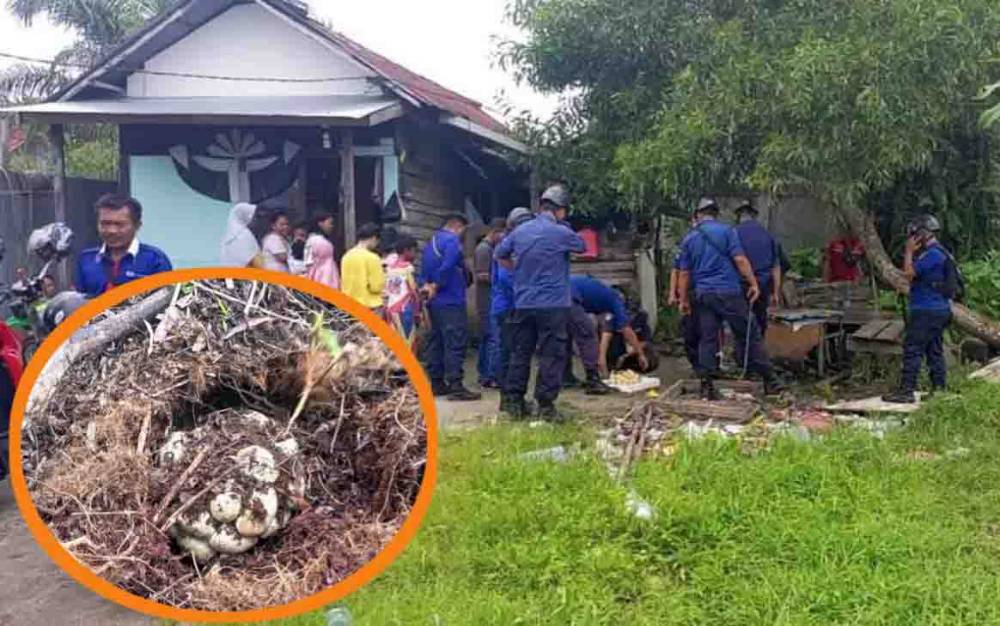 Induk Ular Gagal Ditangkap, Petugas Malah Temukan Hal yang Bikin Merinding
