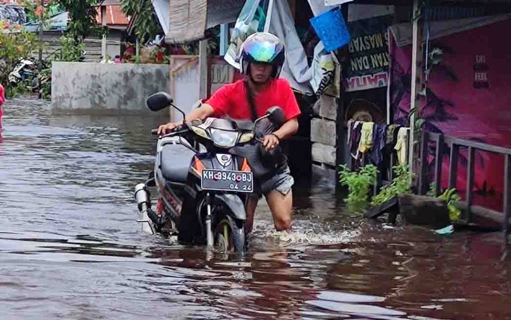 Pemerintah Perlu Tanggulangi Eksploitasi Kayu dan Lahan Kalteng