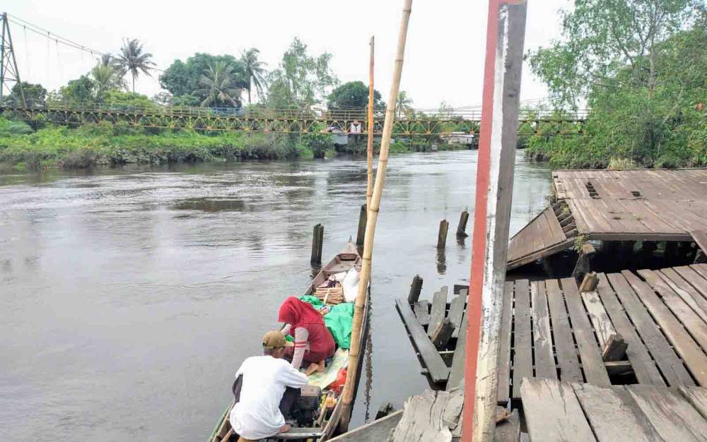 Hari ini, BKSDA Pos Jaga Sampit Terima Laporan Kemunculan Buaya dan Orangutan