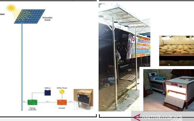 Mesin Tetas Panel Surya Tingkatkan Produktivitas Itik Alabio