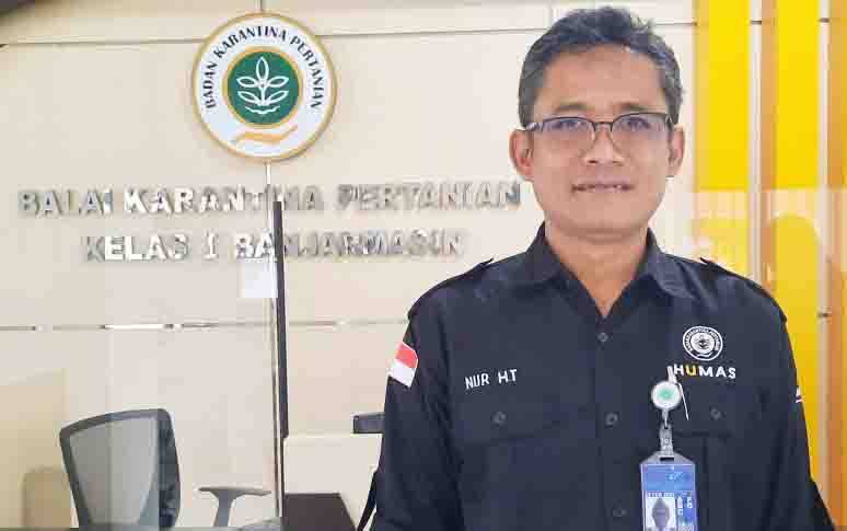 Kementerian Pertanian Dorong Porang di Kalsel Bisa Penuhi Ekspor