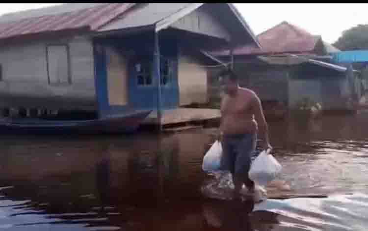 Hutan Gundul Dianggap Pemicu Banjir