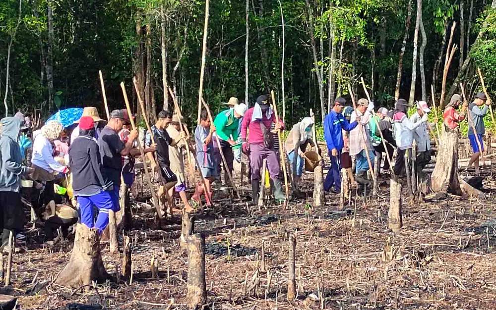 Tradisi Mu'au: Miniatur Demokrasi Masyarakat Dayak Maanyan di Barito Timur
