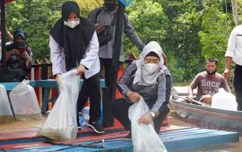 50 Ribu Bibit Ikan Dilepaskan di Danau Tahai