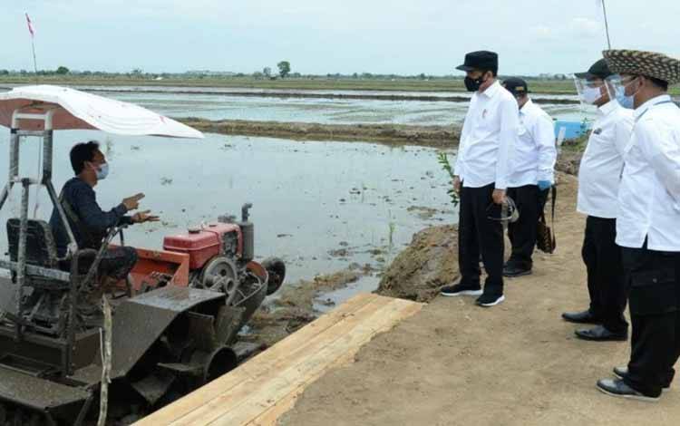 Jokowi Peringatkan Dampak Perubahan Iklim terhadap Ketahanan Pangan