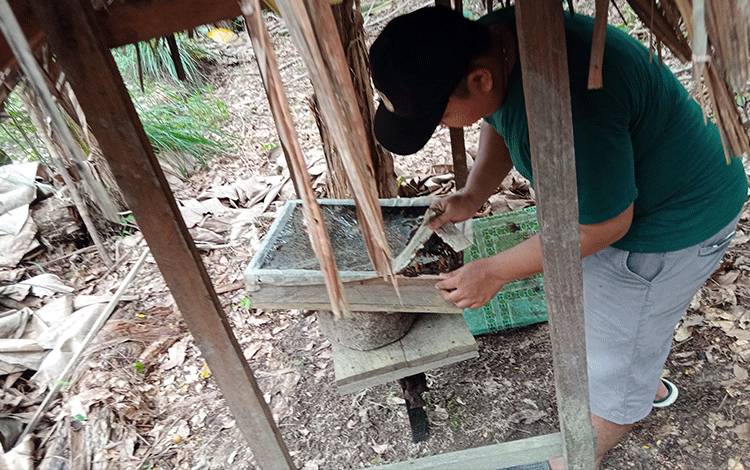 DLH Pulang Pisau Programkan Budidaya Lebah Madu Kelulut