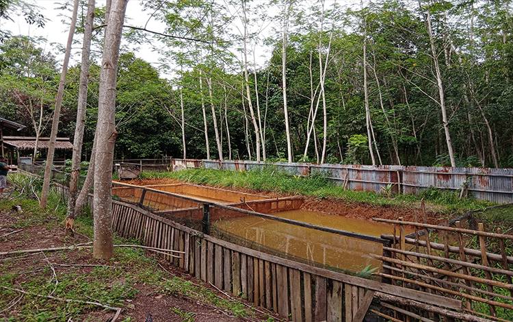 Pembudi Daya Ikan di Buntoi Rugi Karena Banjir