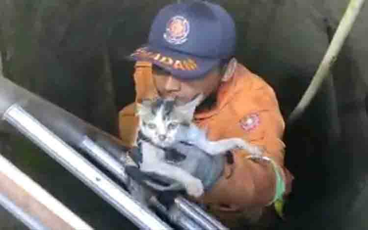 Terjebak dalam Sumur, Seekor Kucing Berhasil Diselamatkan Personel Damkar Kobar