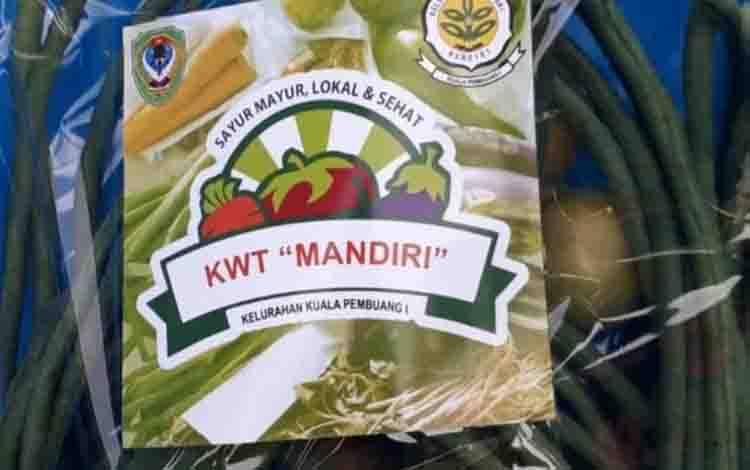 Ini Kiat Kelompok Wanita Tani Kuala Pembuang I Tarik Minat Warga Beli Sayuran