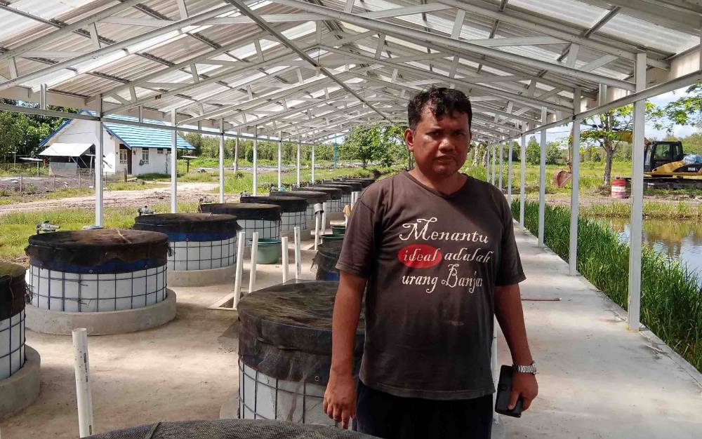 Menengok Budidaya Ikan Lokal Lahan Gambut di Desa Gerung