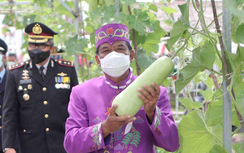 Pemkab Sukamara Harapkan Kawasan Transmigrasi jadi Daerah Lumbung Pangan