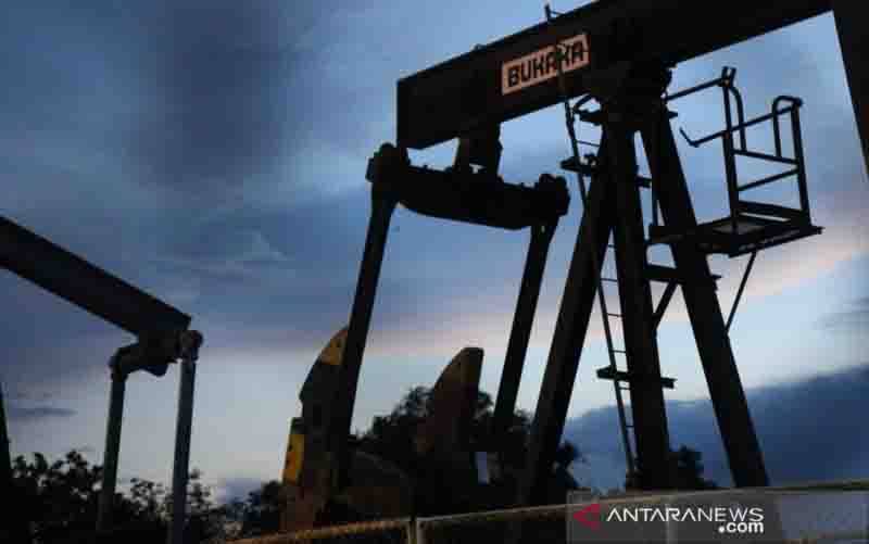 Kementerian ESDM Terus Dorong Transparansi Data Industri Ekstraktif