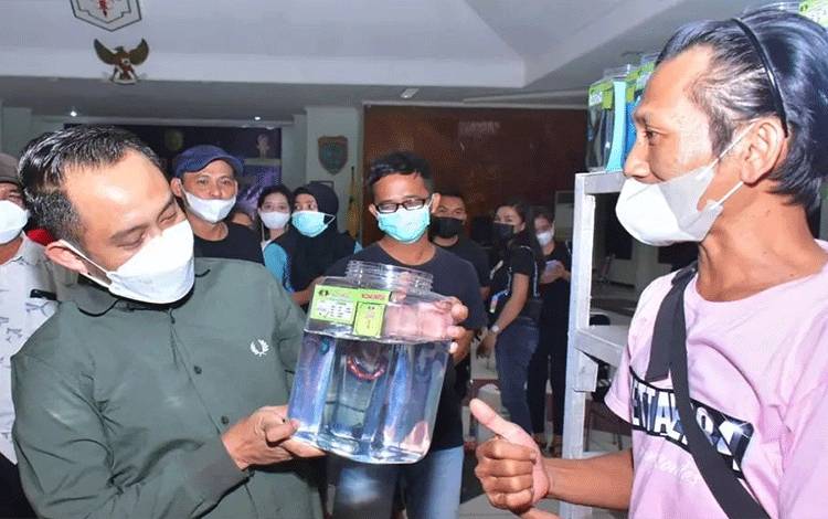 Budidaya Ikan Hias Peluang Bisnis Menjanjikan