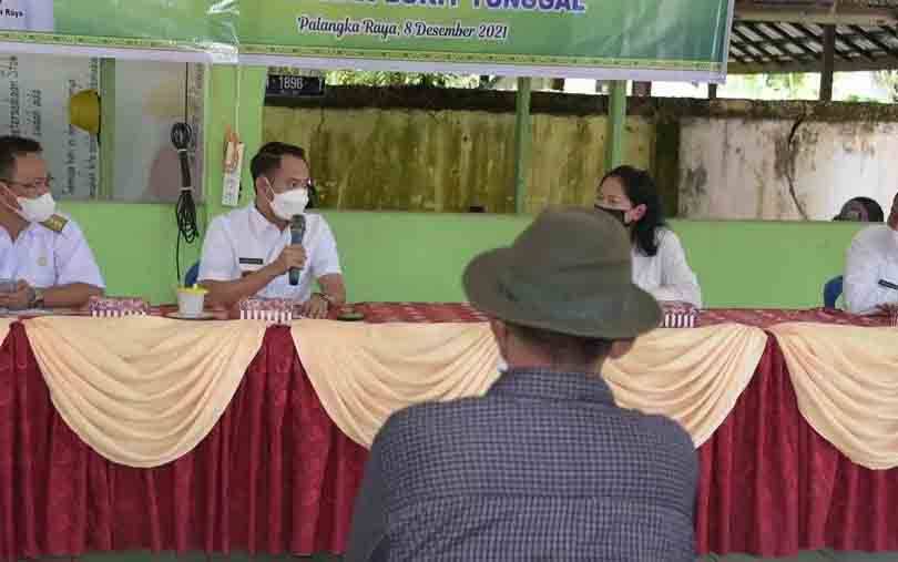 Wali Kota Palangka Raya : Budidaya Ayam Wujud Ekonomi Cerdas