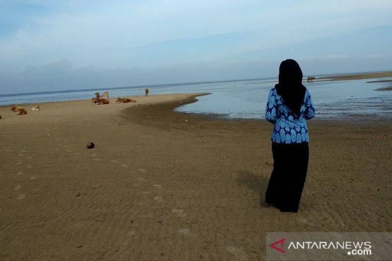 Masyarakat Pesisir Kotim Dambakan Pembangunan Jalan
