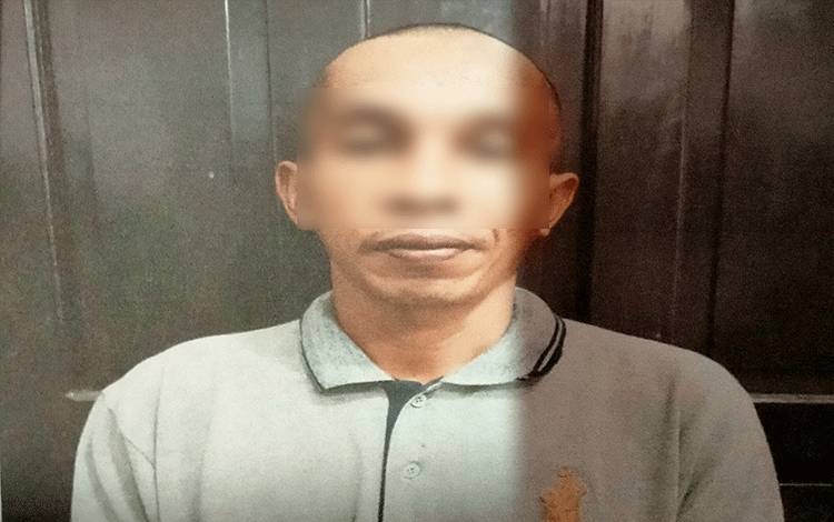 Jadi Tersangka Hanya Karena Angkut 17 Pucuk? Kayu Meranti Campuran